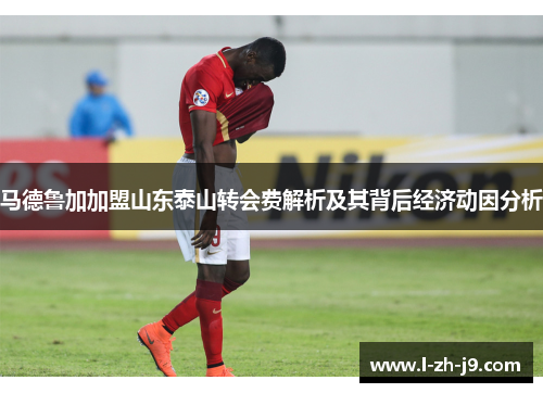 马德鲁加加盟山东泰山转会费解析及其背后经济动因分析
